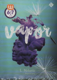 Image of Vapor