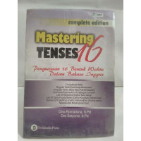 Image of Mastering Tenses 16